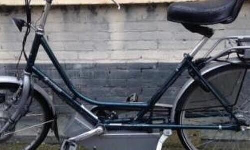 KWK 6-06 Fiets lage instap Van Raam - 1/4