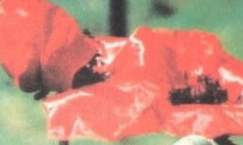 CDROM als promotieartikel bij uw boek - 2/3